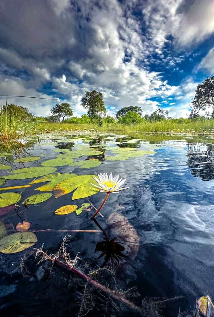 Maun Romantic Africa Escape