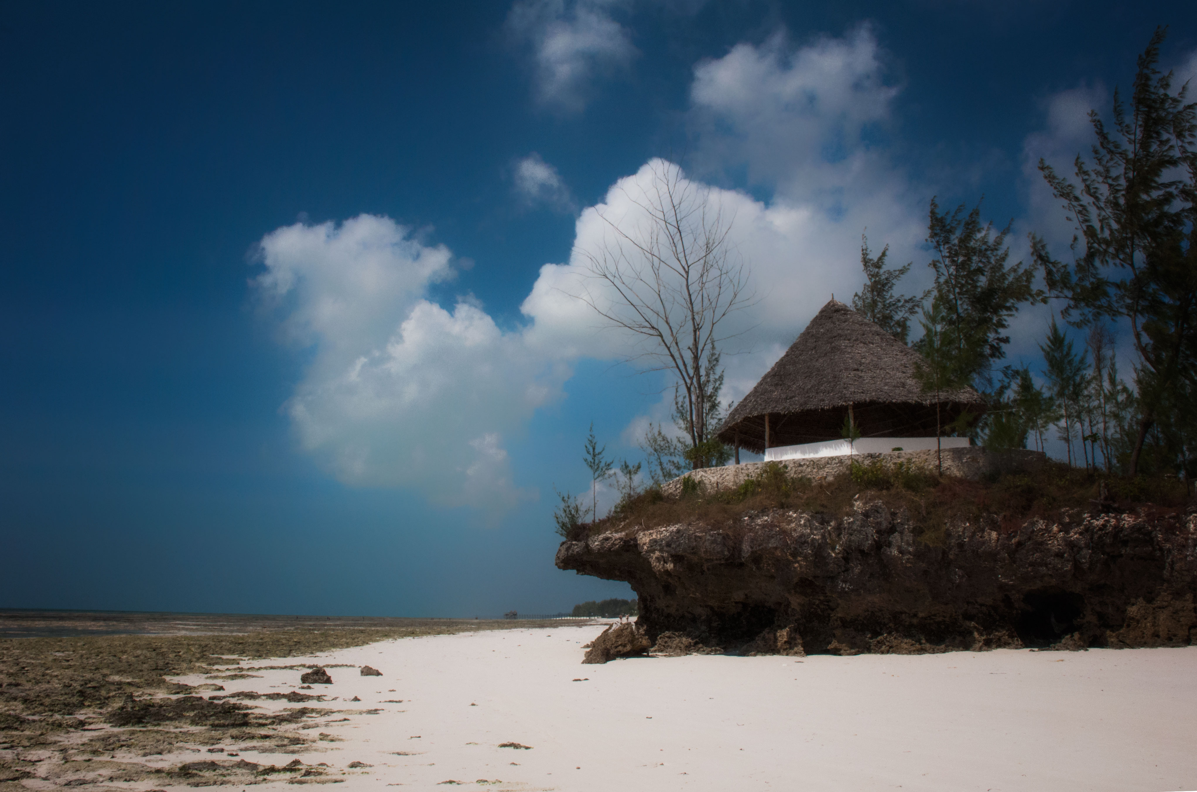 Zanzibar Culture and Cuisine Discovery